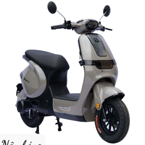 Xe Đạp Điện Hitasa Nâu Bóng